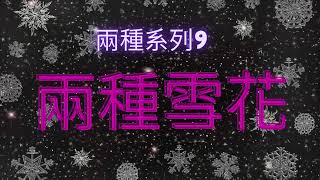 兩種雪花(兩種系列9)