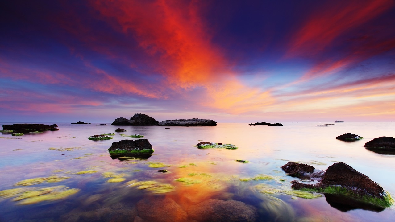 Alchemist: Short Guided Meditation Spoken Story | Turning fear into love  hypnosis