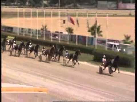 www kennethvella.com  Meeting (27) Date 31-5-2015 Race 1,2,3,4,5,6,7,8,9.