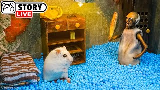 Download lagu Hamster survived 24 hours in Granny's Scary House 🐹 Homura Ham mp3
