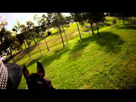 Sydney CCI 3 Star 2012 Wild Oats headcam
