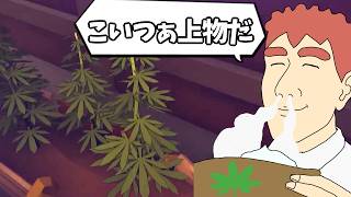 地下の人間なんてキメてるやつらしかいねえよな #thespotterdigordie #採掘　#ポストアポカリプス