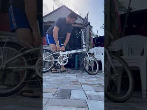 Dahon Mariner folding bike for my semi truck