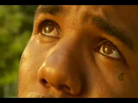 Thumbnail of the video: The Game: Life After the Math Trailer