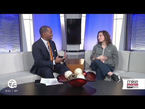 Live guest: Holiday safety tips for pets with Michigan Humane - YouTube