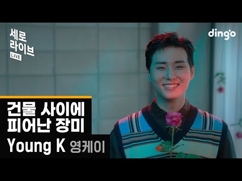 [세로라이브] Young K (DAY6) – 건물 사이에 피어난 장미 (Rose Blossom) | 딩고뮤직 | Dingo Music