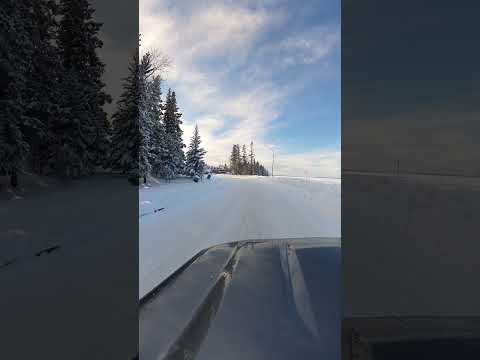 A Drive Through Waskesiu Townsite | Winter in Prince Albert National Park | Jan 6, 2026