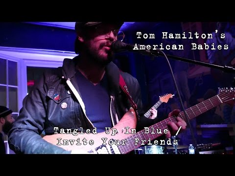 Tom Hamilton's American Babies: Tangled Up In Blue / Invite Your Friends [2-Cam/4K]
