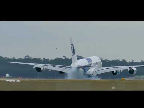 ~~Zlatan Ibrahimovic welcome to ajax~~