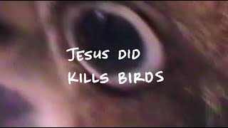 Jesus Did Music Video