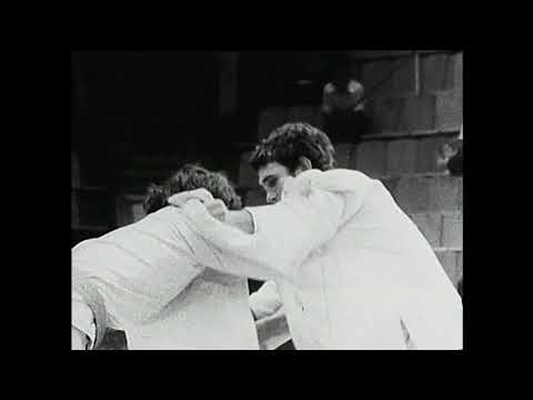 "Старое кимоно". Валерий Двойников ("Old kimono". Valery Dvoinikov)