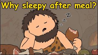 Why Humans Feel Sleepy After Eating