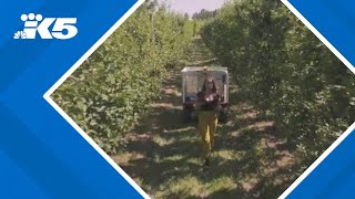 Innovative tech lending library transforms farming in Snohomish County