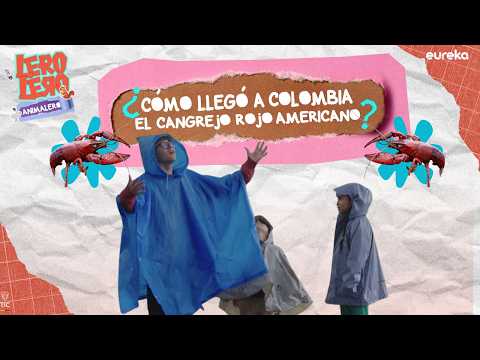 Lero, Lero, Animalero, Capitulo 6 - El Cangrejo rojo americano, una especie que llega y cambia todo a su alrededor