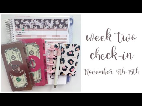SINKING FUNDS FOR THE WIN! | Week 2 Check In | Budget with Me - November 2020 Budget
