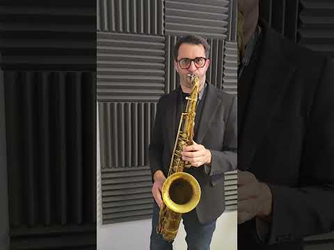 Barkley Verdot 7 Prata Tenor - Metal image 7