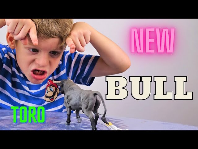 Vídeo relacionado con Collecta- Figura de toro de lidia español, Color zaino, L (DeQUBE TRADING S.L. 90188803) , color/modelo surtido