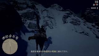 【Red  dead  ONLINE】ガンマン始めました【何すればいいんだ？】