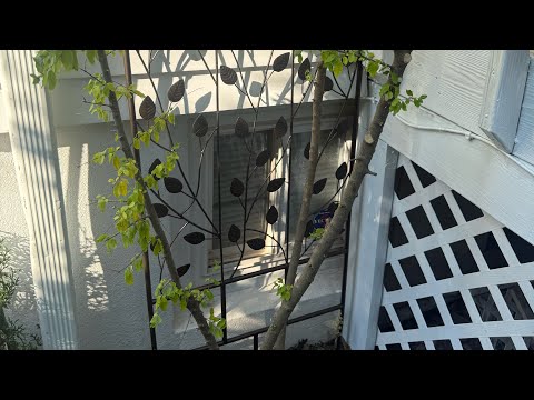 Costco Trellis