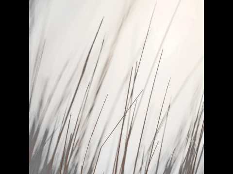 Porya Hatami - White Forest by Bjorn Rohde