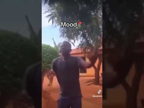 Senzwile- Young STUNNA #senzwile #amapiano