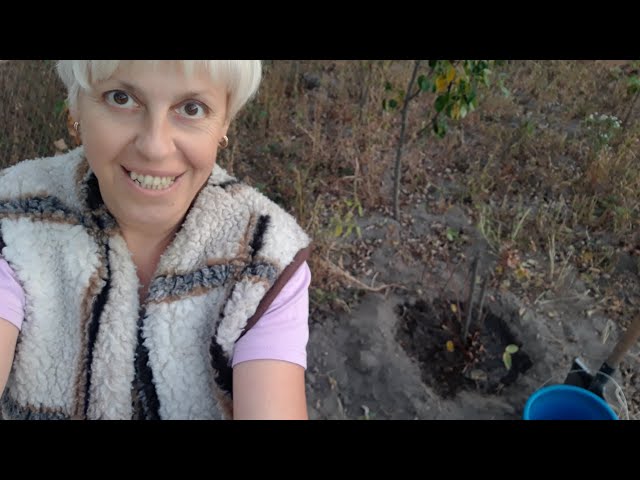 Youtube Video Youtube Video