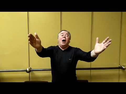 Vladimir Koval Radames