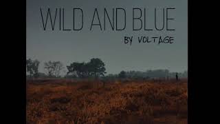 Voltage Wild And Blue Voltage Wild And Blue