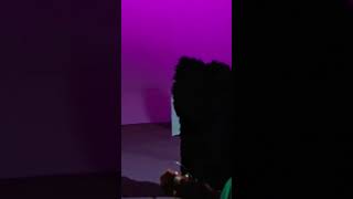 One After 909 - Get Back Sessions  ( 1969 )