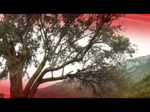 “Fletorja e luftës”, një libër nga Rudina Xhunga  - Top Channel Albania - News - Lajme