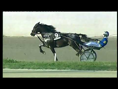 Napoli Trotto 20/02/2022 - 5ª corsa