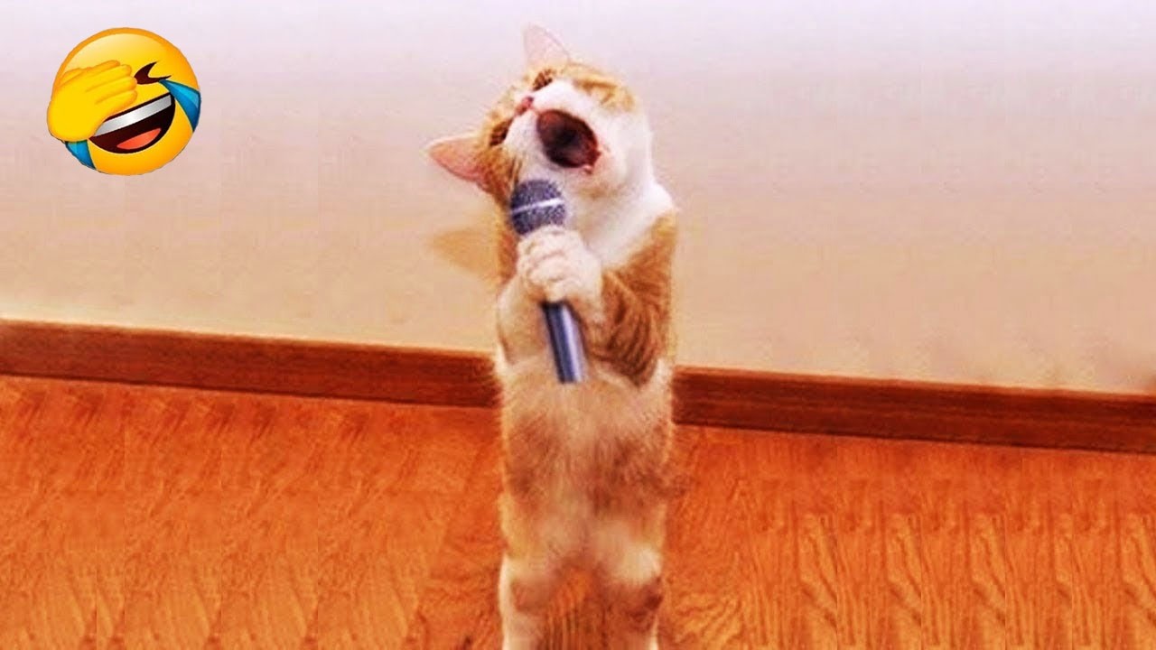 You Laugh You Lose 🤣😅Funniest Cats and Dogs Videos 2026 😻🐶 Part 26