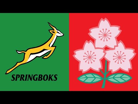 Rugby Autumn Nations Series 2025 - South Africa vs Japan