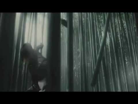 The Warrior's Way Trailer Sub.