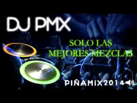 MIX 2014   dj pmx, piñamix