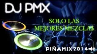 MIX 2014   dj pmx, piñamix
