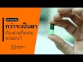 ขั้นตอน