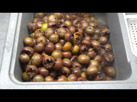 Mispel Marmelade/Mus/Fruchtaufstrich by Arche Denys