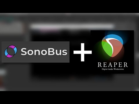 Setting up SonoBus in Reaper to Jam Online