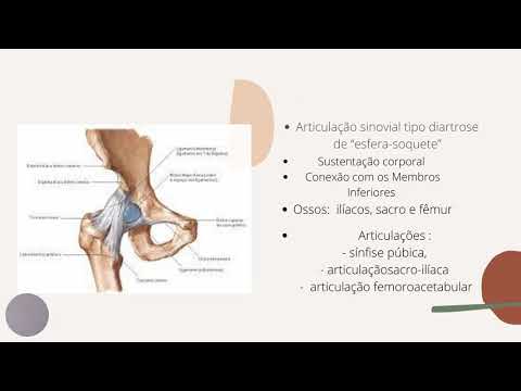 Análise de marcha patológica/Cinesiologia ll