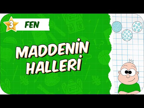 Maddenin Halleri📗 3. Sınıf Fen #2026