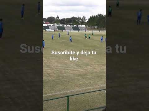 Apinta de Mercedes Provincia de Corrientes