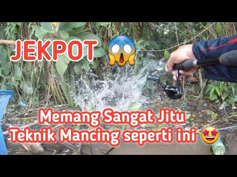 Sikat!!! Jangan Harap Bisa Lolos Dengan Teknik Mancing Ikan Mas Terbaru Ini #SA-104