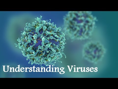 Understanding Viruses BBC Documentary 2017