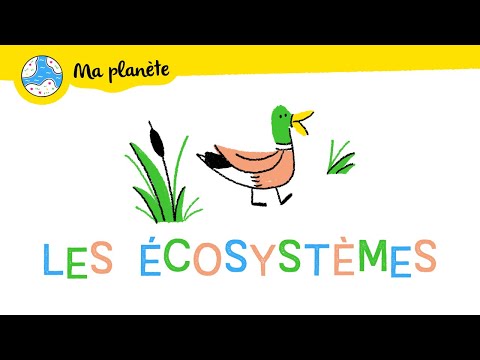 Les écosystèmes expliqués aux enfants - Ma Planète #10