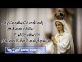 Azhagoviyame Engal Annai Mariya Madha Song What S App Status Tamil Lurthu Annai Digital