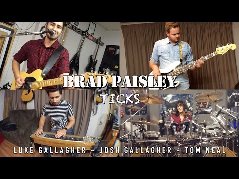 Brad Paisley - Ticks - Cover by Luke & Josh Gallagher, Tom Neal