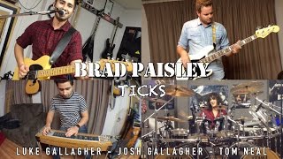 Brad Paisley - Ticks - Cover by Luke & Josh Gallagher, Tom Neal