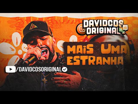 E QUANDO O SOM DESLIGA E A FESTA ACABA NO BANCO DO CARONA TEM ALGUÉM QUE EU NÃO SINTO -UNHA PINTADA