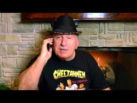 [AVGN Reupload] - Cheetahmen 2 NES Release